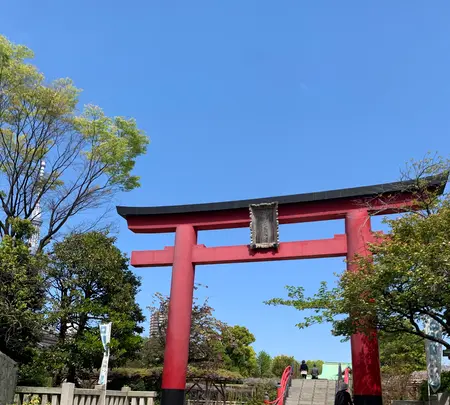 亀戸天神社の写真・動画_image_904615
