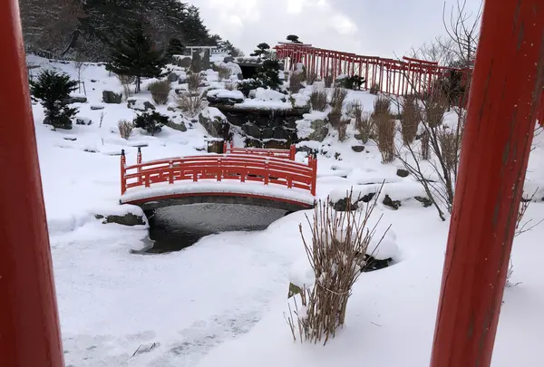 高山稲荷神社の写真・動画_image_926658