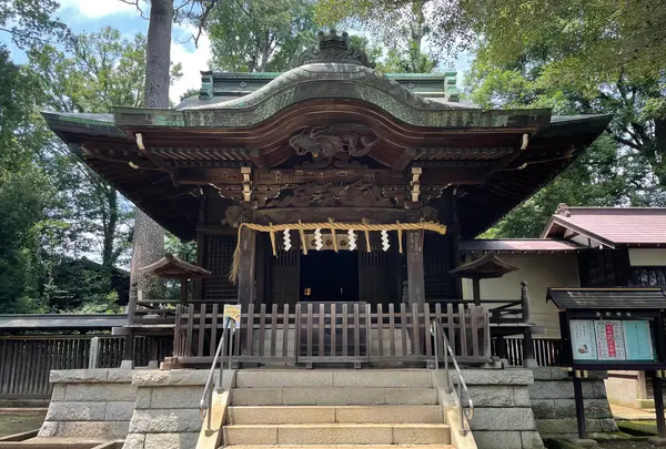 和泉熊野神社の写真・動画_image_943732