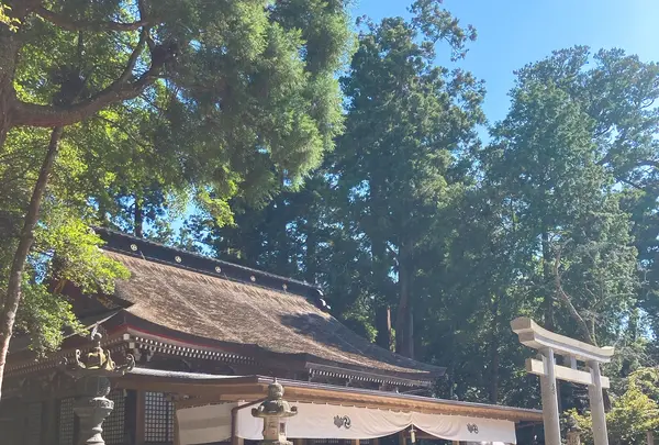鹿島神宮の写真・動画_image_949302