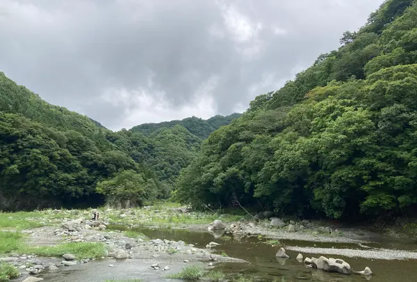 緑の休暇村・青根キャンプ場の写真・動画_image_961033