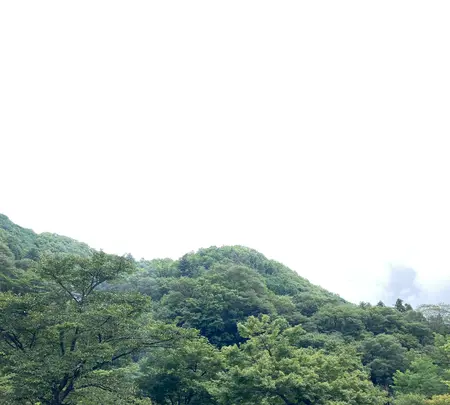 緑の休暇村・青根キャンプ場の写真・動画_image_961034