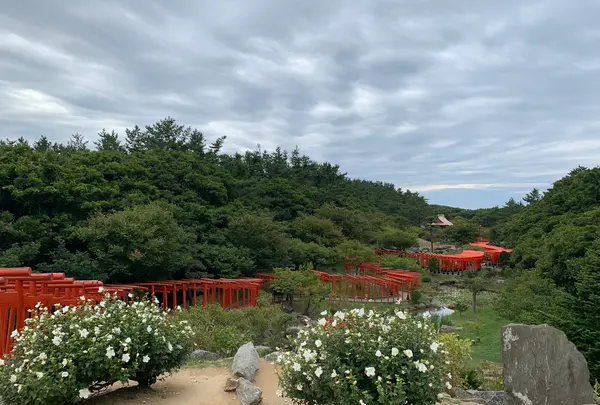 高山稲荷神社の写真・動画_image_975499