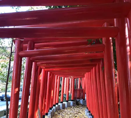 石浦神社の写真・動画_image_989136