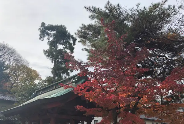 尾崎神社の写真・動画_image_989215
