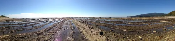 鵜ノ崎海岸の写真・動画_image_998535