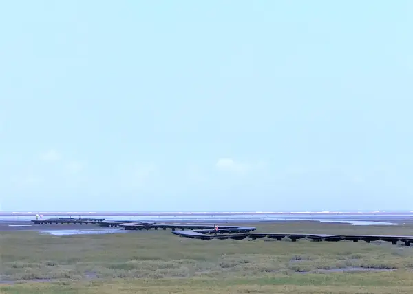 高美湿地