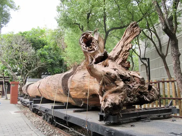 木材運搬列車