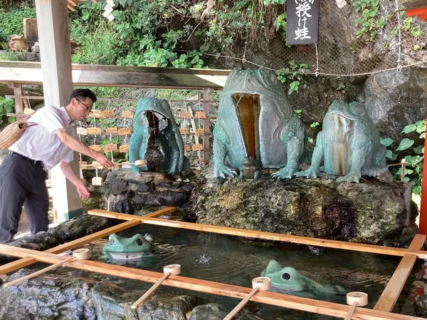 こちらは「満願蛙」