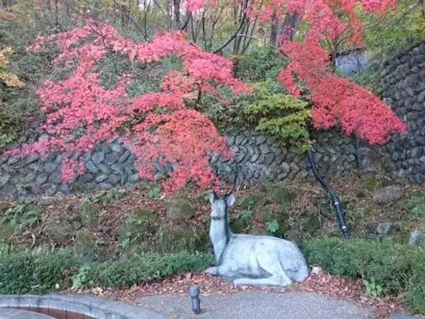 神社の入り口にある紅葉と鹿です。
