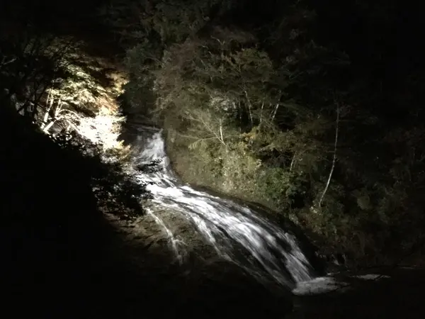 ライトアップ粟又の滝