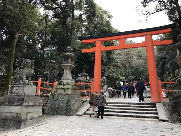 鳥居前では一礼っっ👀