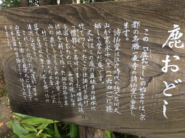 スポット内のおすすめ