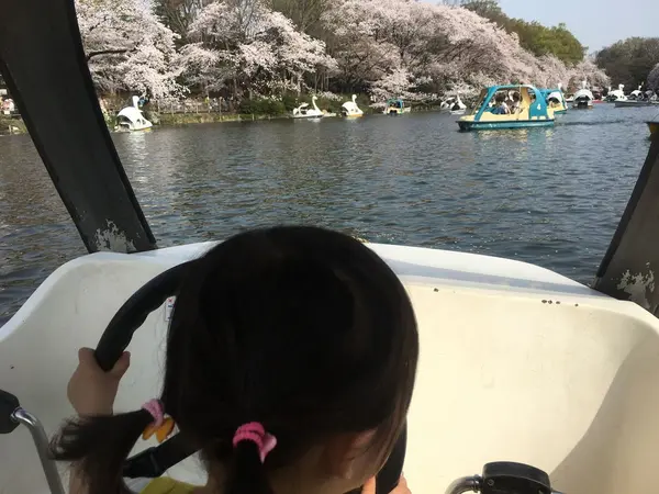 ボートに乗って間近に桜を見物