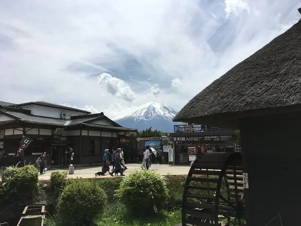 忍野からの富士山