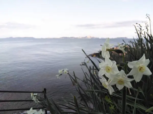 海岸遊歩道から…
