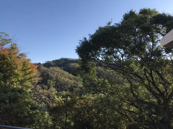 バルコニーに出て見た^_^