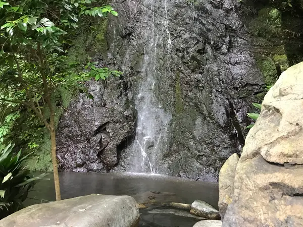 白龍の滝