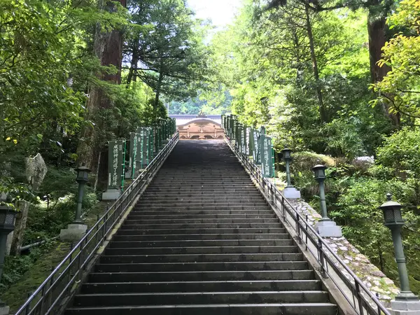 いきなりのエクストリームw