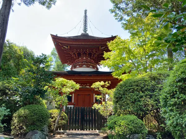 京都の仁和寺から…