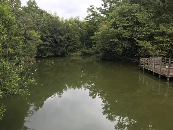 自然の池も多いです。