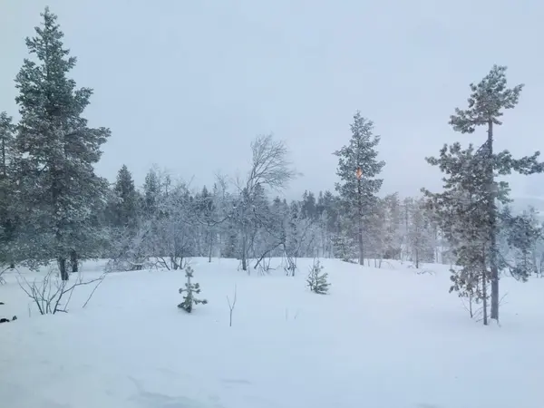 場所によって変わる景観