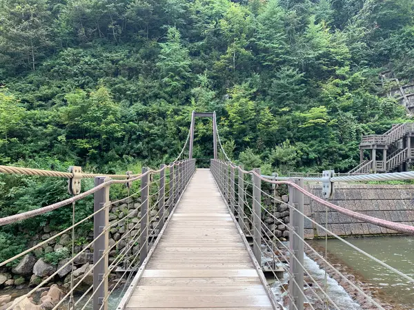 吊り橋1