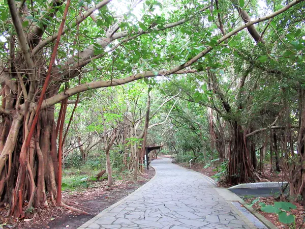 関渡自然公園