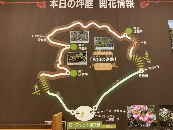 スポット内のおすすめ