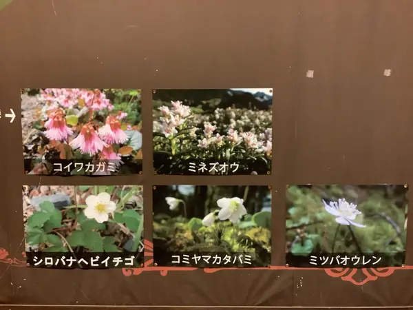 スポット内のおすすめ