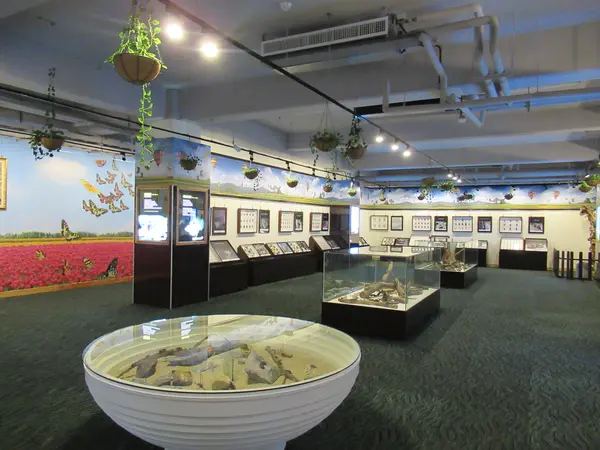 綺麗胡蝶芸術館