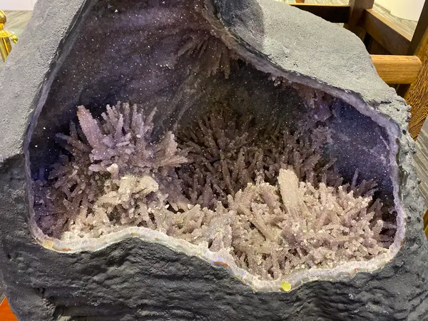 綺麗珊瑚博物館