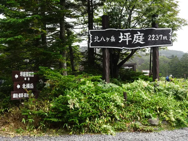 北八ヶ岳　坪庭