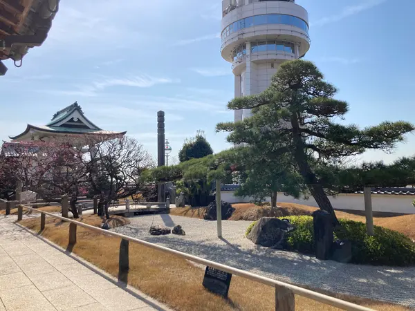 「寿」のカタチをした黒松も
