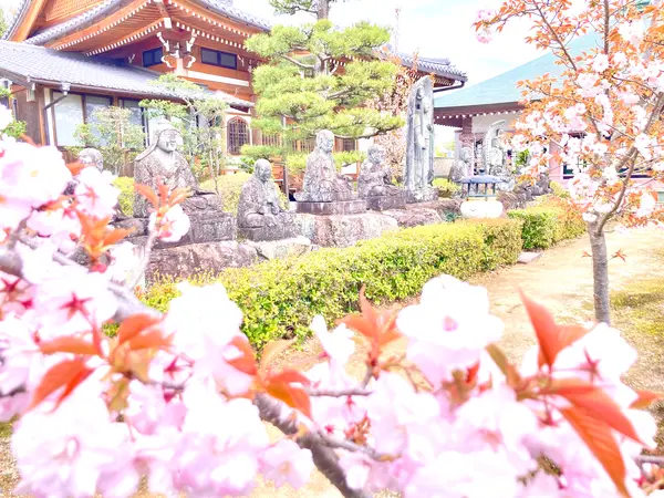 お隣の"蓮華寺"にもぜひ