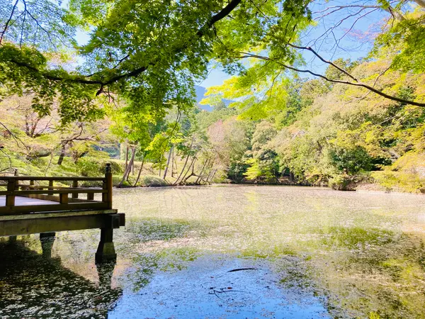 宮池と浮舞台