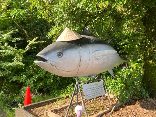 🐟マグロのお遍路さん❓