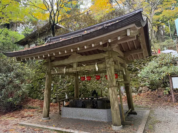 かなり年代物