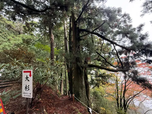 第三鳥居をUターン