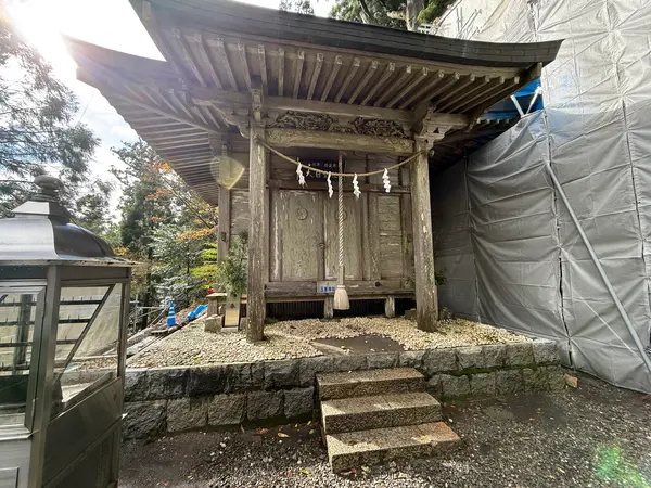 こちらが現時点のお姿