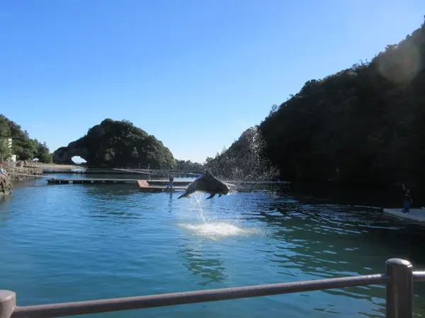 クジラショー