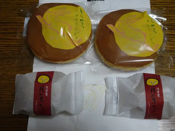 小田原うさぎと月の黒うさぎ