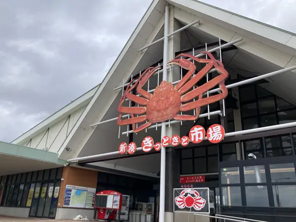 新湊きっときと市場