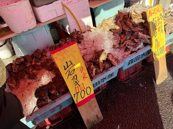 スポット内のおすすめ