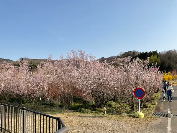 スポット内のおすすめ