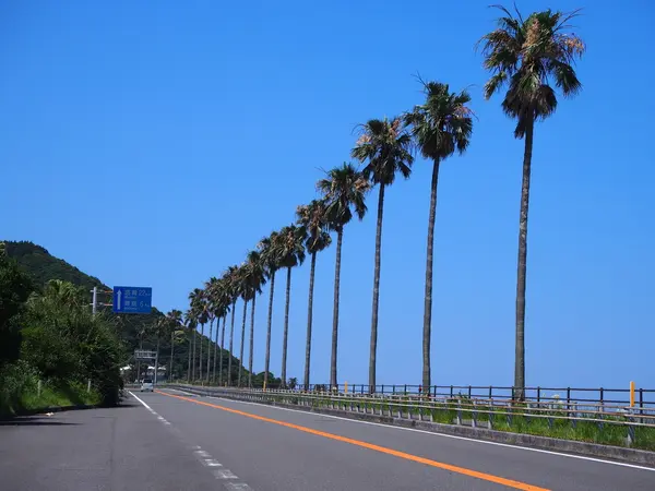 平日ゆっくりがオススメ