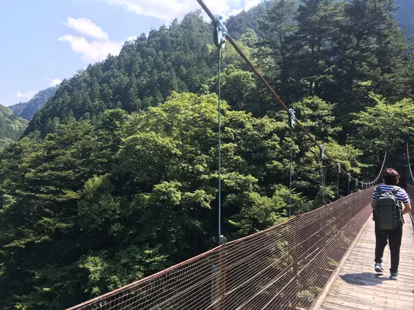 リアル吊り橋