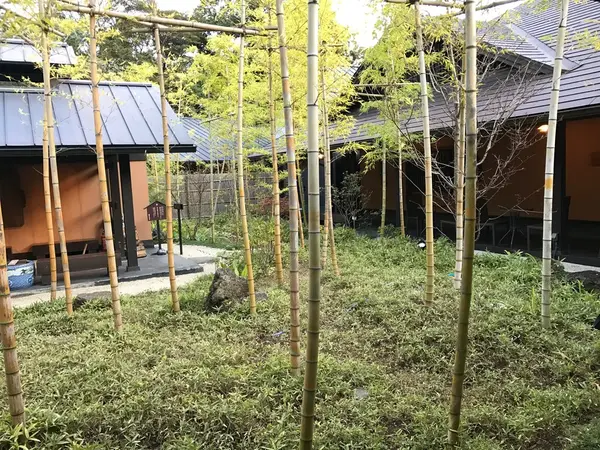 中庭