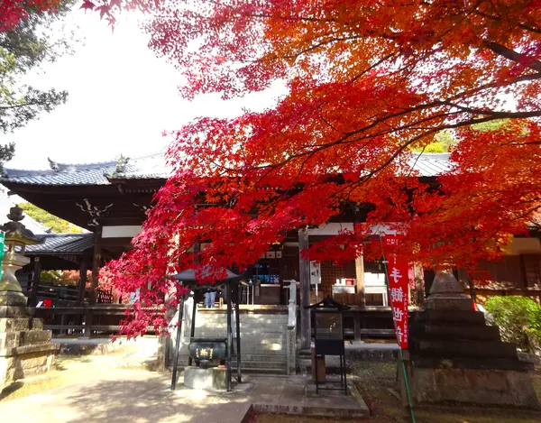 紅葉の季節の本堂