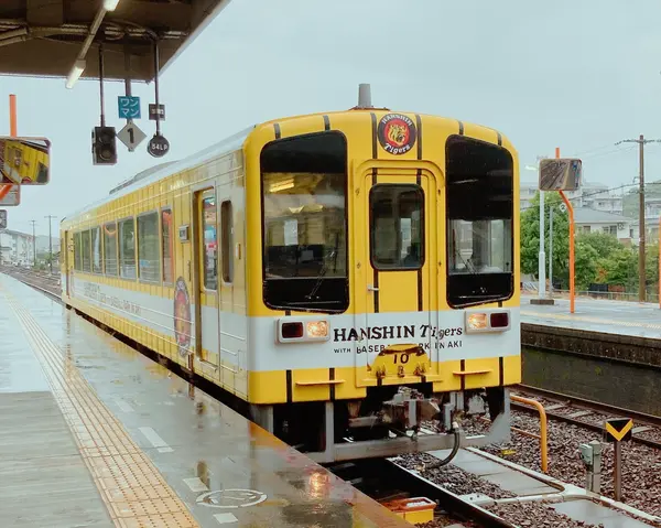 土佐で阪神❓❗️